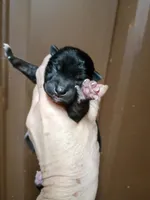 processed/614cd843-c74a-4709-addd-834de4b9ecce/listing/53c17ffa-4cbe-4582-a53d-7e67433af61e/861687d1-11d0-4890-93ec-63d1d4a6b2f5