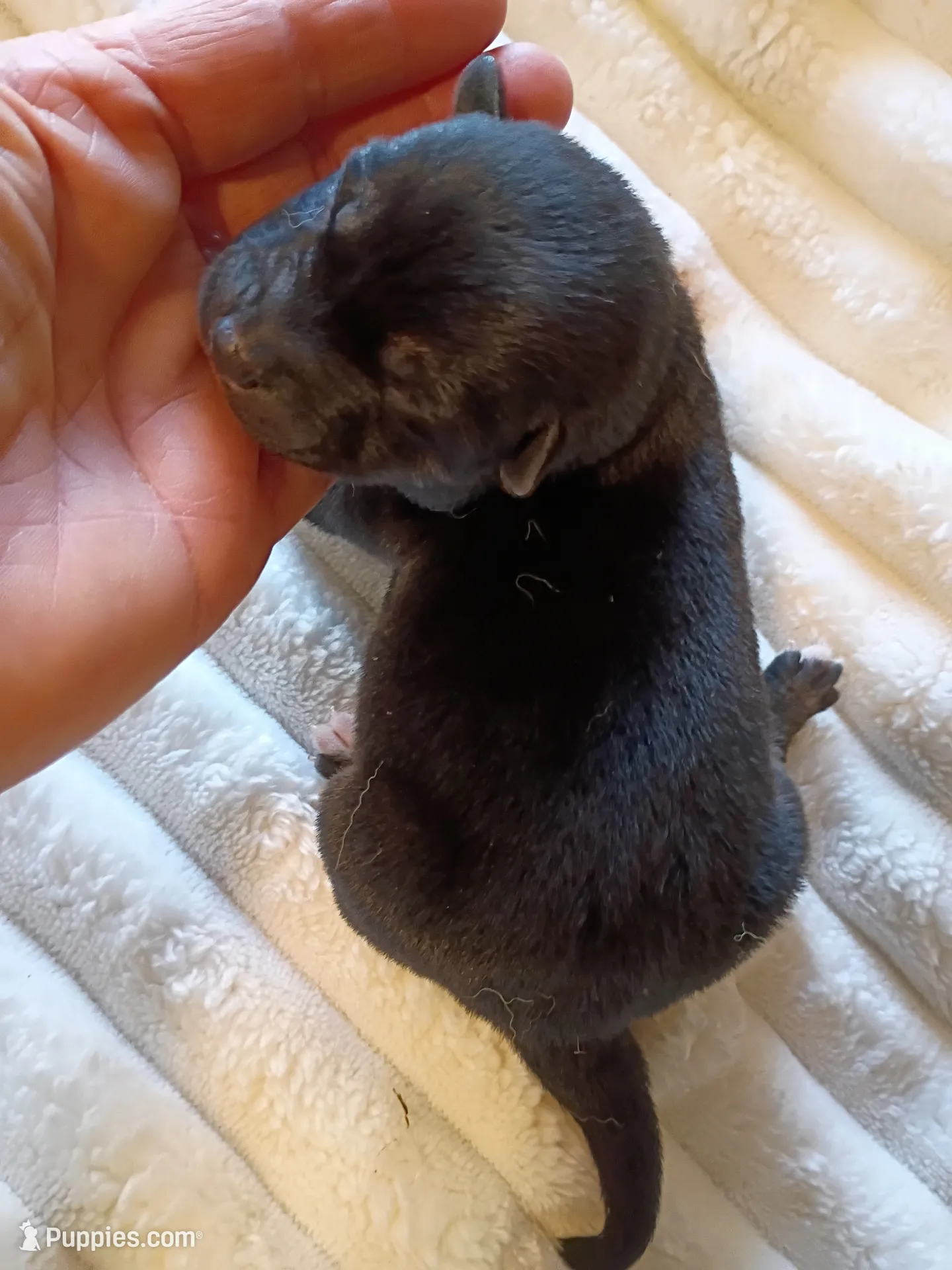 processed/614cd843-c74a-4709-addd-834de4b9ecce/listing/53c17ffa-4cbe-4582-a53d-7e67433af61e/cf8308b9-2bcf-4c6a-990a-7970722c35e3