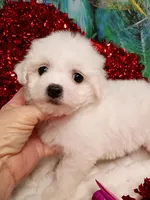 processed/614cd843-c74a-4709-addd-834de4b9ecce/listing/63b3712b-8a39-41b6-b890-2993ab7d0c97/9b60c948-c06e-4f23-8720-c646f8c596f7