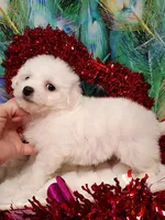 processed/614cd843-c74a-4709-addd-834de4b9ecce/listing/63b3712b-8a39-41b6-b890-2993ab7d0c97/a51984f2-7848-4825-bdb2-d9ea2fcb03b1