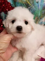 processed/614cd843-c74a-4709-addd-834de4b9ecce/listing/63b3712b-8a39-41b6-b890-2993ab7d0c97/b2016aaa-ac41-4e7f-b947-7ae2c5d5b328