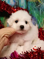 processed/614cd843-c74a-4709-addd-834de4b9ecce/listing/63b3712b-8a39-41b6-b890-2993ab7d0c97/b3124d7b-a3b9-4865-8d4d-b62f014e3cef