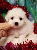 processed/614cd843-c74a-4709-addd-834de4b9ecce/listing/63b3712b-8a39-41b6-b890-2993ab7d0c97/ff0d0a4d-52c1-4247-82f4-552fd78e6615