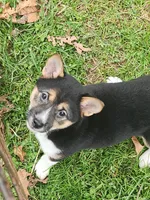 processed/614cd843-c74a-4709-addd-834de4b9ecce/listing/684a96b0-f9d2-4098-b4e6-a1ecdea79f3a/140c98ac-bb9a-4a2d-8f0d-2563080a5437