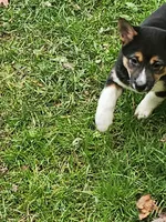 processed/614cd843-c74a-4709-addd-834de4b9ecce/listing/684a96b0-f9d2-4098-b4e6-a1ecdea79f3a/7d6e8ec6-2042-41e4-bd02-7b9f9f7a5a69