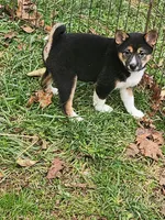 processed/614cd843-c74a-4709-addd-834de4b9ecce/listing/684a96b0-f9d2-4098-b4e6-a1ecdea79f3a/f09ee5ca-2abc-4442-8bb3-9ee5982b2ba9