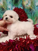 processed/614cd843-c74a-4709-addd-834de4b9ecce/listing/6bd52d8c-6d30-4b89-86bb-b8e73361d83c/905f2a3a-941d-4441-bae0-837de3690146