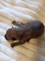 processed/614cd843-c74a-4709-addd-834de4b9ecce/listing/7f6df16d-2319-4df9-8279-bde850aa0d2e/92aecd56-8f26-4411-8455-ec4f1a6c211f