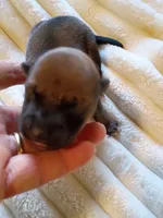 processed/614cd843-c74a-4709-addd-834de4b9ecce/listing/7f6df16d-2319-4df9-8279-bde850aa0d2e/b0d231d5-bfc0-45e8-bf7e-2694bcd81aef