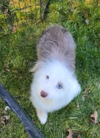 processed/614cd843-c74a-4709-addd-834de4b9ecce/listing/82bfecf5-46c7-42cb-a6c1-55bc7872f6cc/0d84aac7-892f-4059-a509-b0ebbddec49f