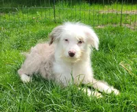 processed/614cd843-c74a-4709-addd-834de4b9ecce/listing/82bfecf5-46c7-42cb-a6c1-55bc7872f6cc/22553603-0dab-4082-9920-56599f4af569