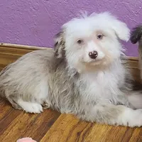 processed/614cd843-c74a-4709-addd-834de4b9ecce/listing/82bfecf5-46c7-42cb-a6c1-55bc7872f6cc/3e0888c8-5193-4007-ad0b-cac7d045df1f