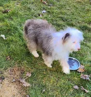 processed/614cd843-c74a-4709-addd-834de4b9ecce/listing/82bfecf5-46c7-42cb-a6c1-55bc7872f6cc/524b13bc-f6b8-4906-8fcb-74b7077d63f3