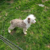 processed/614cd843-c74a-4709-addd-834de4b9ecce/listing/82bfecf5-46c7-42cb-a6c1-55bc7872f6cc/631437fc-6005-41c3-bde2-bb024e678d85