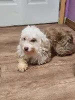 processed/614cd843-c74a-4709-addd-834de4b9ecce/listing/82bfecf5-46c7-42cb-a6c1-55bc7872f6cc/d696eb55-2e30-4837-a805-19a7c717bd80