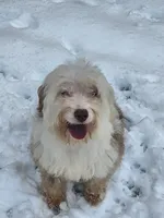 processed/614cd843-c74a-4709-addd-834de4b9ecce/listing/82bfecf5-46c7-42cb-a6c1-55bc7872f6cc/d99c4da1-48ea-4c45-adaf-c1478d3e473e