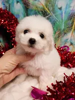 processed/614cd843-c74a-4709-addd-834de4b9ecce/listing/94f46801-8d76-44d2-9f97-0d5dd44f6ec8/7a6cb803-d95a-4743-ba2f-24a0fbe056d4