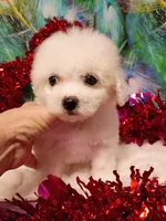 processed/614cd843-c74a-4709-addd-834de4b9ecce/listing/94f46801-8d76-44d2-9f97-0d5dd44f6ec8/a5aa1577-168f-478e-b06a-b2ddd81b5e3b