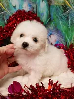 processed/614cd843-c74a-4709-addd-834de4b9ecce/listing/94f46801-8d76-44d2-9f97-0d5dd44f6ec8/e6803117-2293-474e-849f-6710aeb540d4