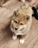 processed/614cd843-c74a-4709-addd-834de4b9ecce/listing/98de7fec-e520-4416-a5dd-e21a4ac38d50/b18e7ef2-e568-4482-a4d2-652a3ddc6977