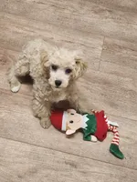 processed/614cd843-c74a-4709-addd-834de4b9ecce/listing/aacecb1a-96fb-4346-8e83-0fe472e1a271/de09d9b9-1e3c-407a-8740-2239fb8cd03c