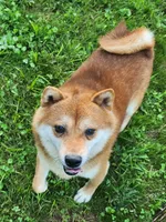 processed/614cd843-c74a-4709-addd-834de4b9ecce/listing/c73bbfbb-f669-4809-8cd8-24ca7269c733/682b1829-57fe-48a3-8a59-463fce105697