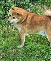 processed/614cd843-c74a-4709-addd-834de4b9ecce/listing/c73bbfbb-f669-4809-8cd8-24ca7269c733/6d04a27c-07ba-4f27-98c1-41e68a1f327c