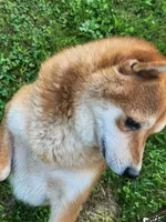 processed/614cd843-c74a-4709-addd-834de4b9ecce/listing/c73bbfbb-f669-4809-8cd8-24ca7269c733/ef21ba72-c1ed-4177-bc5c-1b74a1c9764c