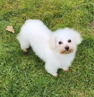 processed/614cd843-c74a-4709-addd-834de4b9ecce/listing/f4a4bed9-9ca9-4d6d-8bf0-7763b6cf743e/400e4089-5113-4bf7-941b-19d3e86ad3fa