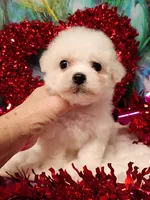 processed/614cd843-c74a-4709-addd-834de4b9ecce/listing/f4a4bed9-9ca9-4d6d-8bf0-7763b6cf743e/5da7b917-a5e7-40fa-a61a-e9bf03e2a089