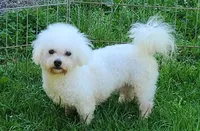 processed/614cd843-c74a-4709-addd-834de4b9ecce/listing/f4a4bed9-9ca9-4d6d-8bf0-7763b6cf743e/82cc816f-dde9-48b3-8e0e-a02a8e44877a