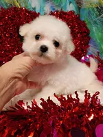 processed/614cd843-c74a-4709-addd-834de4b9ecce/listing/f4a4bed9-9ca9-4d6d-8bf0-7763b6cf743e/8f12b4fe-e3b7-4d37-b62f-5c813c2082e9