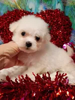 processed/614cd843-c74a-4709-addd-834de4b9ecce/listing/f4a4bed9-9ca9-4d6d-8bf0-7763b6cf743e/9a710edb-5ca9-4e6e-b51c-6d86addcbf3a