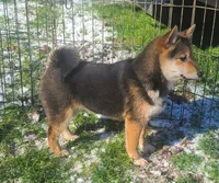 processed/614cd843-c74a-4709-addd-834de4b9ecce/listing/f8aa23b5-5a13-4381-9ce0-17ecd30cbebb/344722bc-347d-4e81-86f7-b43c79d6f705