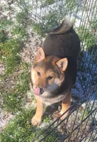 processed/614cd843-c74a-4709-addd-834de4b9ecce/listing/f8aa23b5-5a13-4381-9ce0-17ecd30cbebb/622a48a3-0bd4-4587-8f03-5323a9aaa1d5