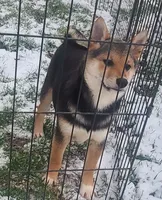 processed/614cd843-c74a-4709-addd-834de4b9ecce/listing/f8aa23b5-5a13-4381-9ce0-17ecd30cbebb/92a33a18-2f1f-4e7e-9043-99b576a9ff75