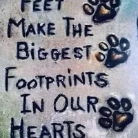 processed/6164c98f-ef1e-474d-8d23-ee3e576e1ccd/facility/b5e7708d-59fb-4c07-ab4e-11d2ecd04033