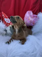 processed/6164c98f-ef1e-474d-8d23-ee3e576e1ccd/listing/8bebfaa5-749d-408b-828a-72fbb276e9ef/0a767b93-bda6-4081-bf48-d797181d4462