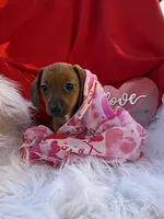 processed/6164c98f-ef1e-474d-8d23-ee3e576e1ccd/listing/8bebfaa5-749d-408b-828a-72fbb276e9ef/66e289bc-16e9-4fbb-a4d5-33f202b9a819