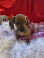 processed/6164c98f-ef1e-474d-8d23-ee3e576e1ccd/listing/8bebfaa5-749d-408b-828a-72fbb276e9ef/9a0dee46-f022-40b3-a18a-27f94cec88f2