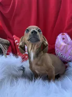 processed/6164c98f-ef1e-474d-8d23-ee3e576e1ccd/listing/8bebfaa5-749d-408b-828a-72fbb276e9ef/9f2e04cc-fa5e-4454-b048-8a431f75d32e