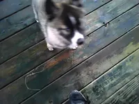 processed/6167934c-0dc1-4aa0-8163-414855ad01c3/listing/277e506a-235d-4d1e-b06f-ea45b687d22a/38d82d6e-9919-4488-9367-affa8184d02d