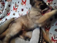 processed/6167934c-0dc1-4aa0-8163-414855ad01c3/listing/277e506a-235d-4d1e-b06f-ea45b687d22a/4cb13aef-2901-455c-a812-b696f21e7370