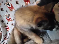 processed/6167934c-0dc1-4aa0-8163-414855ad01c3/listing/277e506a-235d-4d1e-b06f-ea45b687d22a/611fa616-bc49-44ce-aef4-b60e80f33382