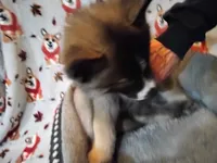 processed/6167934c-0dc1-4aa0-8163-414855ad01c3/listing/277e506a-235d-4d1e-b06f-ea45b687d22a/8af2f7f5-80ef-40ec-a6c6-e076832deca2