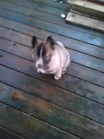 processed/6167934c-0dc1-4aa0-8163-414855ad01c3/listing/277e506a-235d-4d1e-b06f-ea45b687d22a/b6a17b4d-08a8-4c7a-bfd8-49e16570da75