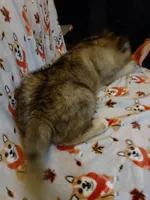 processed/6167934c-0dc1-4aa0-8163-414855ad01c3/listing/460bc794-42d8-412d-9d60-f57c14f756cc/235f0e6d-92f7-4ac0-9daf-5cc2147fed6b