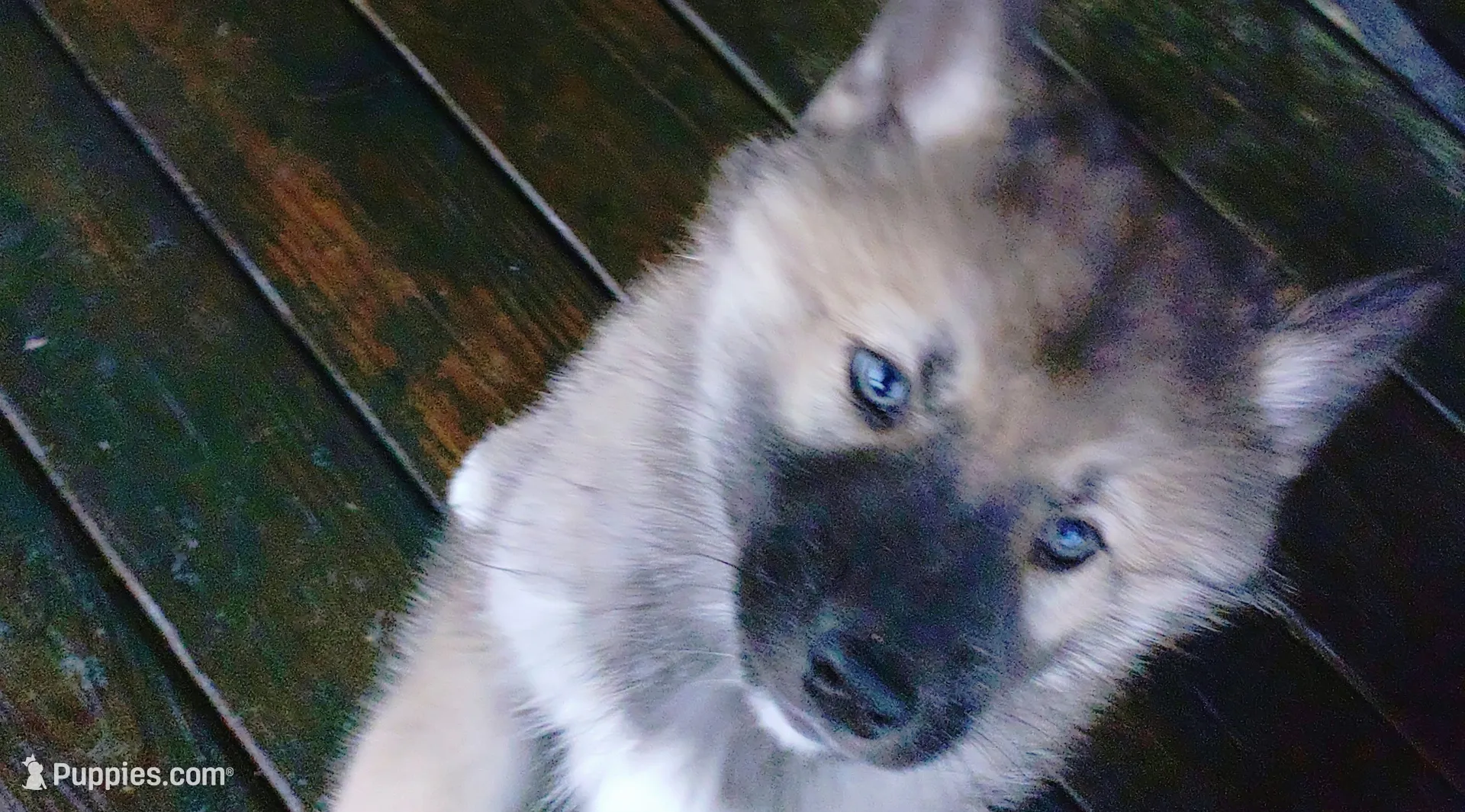 processed/6167934c-0dc1-4aa0-8163-414855ad01c3/listing/460bc794-42d8-412d-9d60-f57c14f756cc/40db9a59-1a7c-4784-bd21-0dcfe06e1900