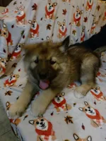 processed/6167934c-0dc1-4aa0-8163-414855ad01c3/listing/460bc794-42d8-412d-9d60-f57c14f756cc/afe4e230-1f75-401c-b44c-59f30ab760ee