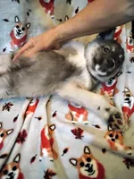 processed/6167934c-0dc1-4aa0-8163-414855ad01c3/listing/d0676307-a377-4d12-b47b-724454e84160/2ea77882-a8f3-46eb-a240-b118b1897a3a